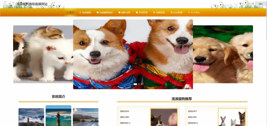流浪猫狗救助救援网站
