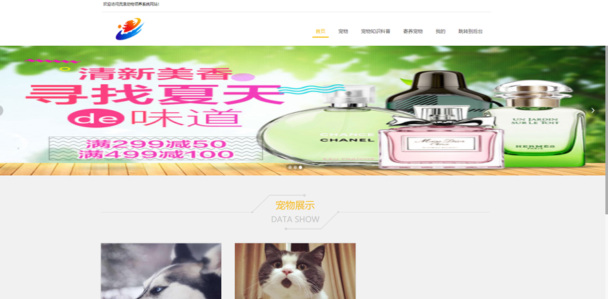 流浪动物领养系统网站